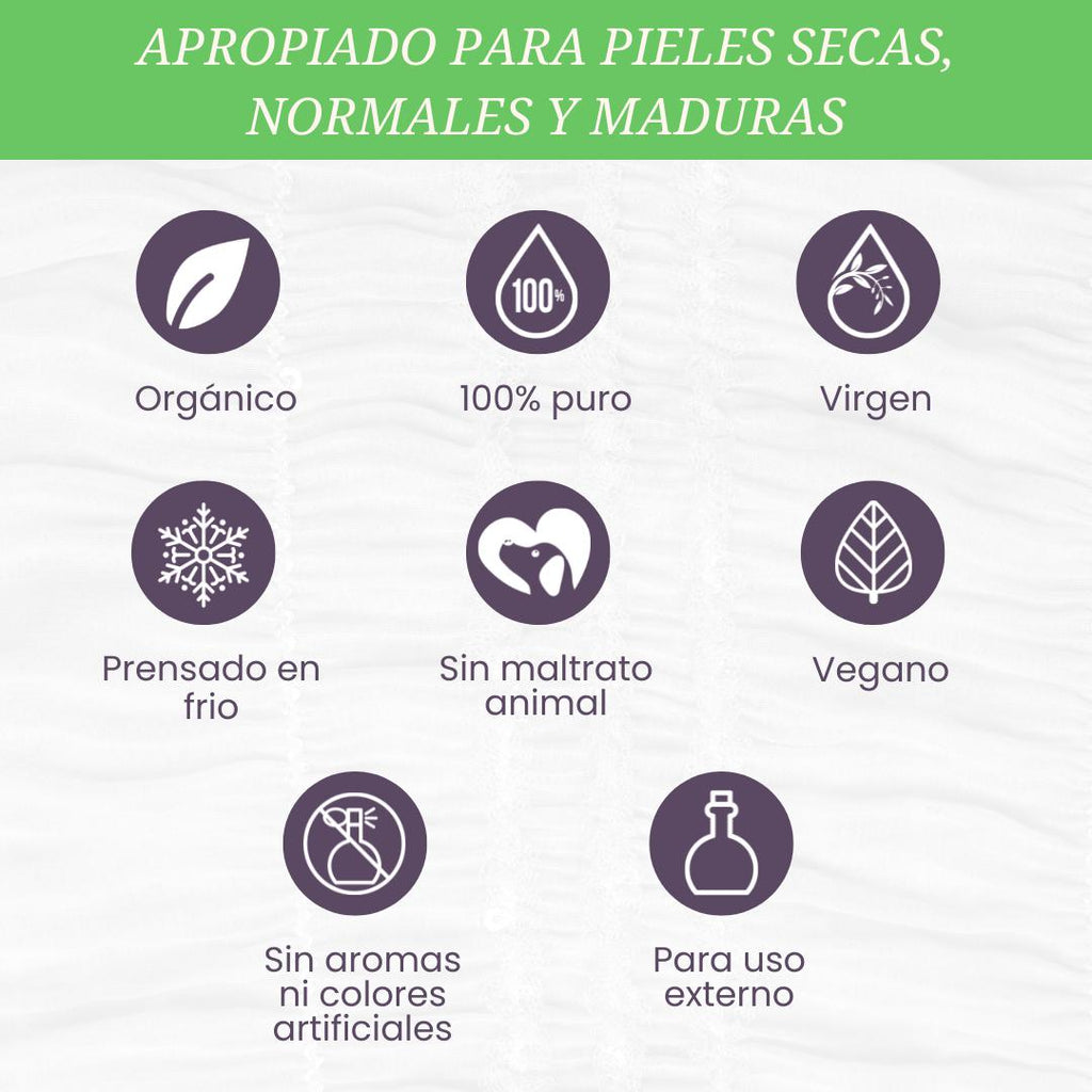 Aceite de Moringa - LilaLavanda